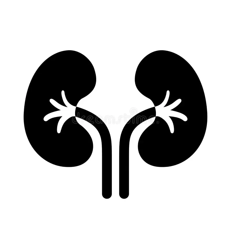 NEPHORLOGY